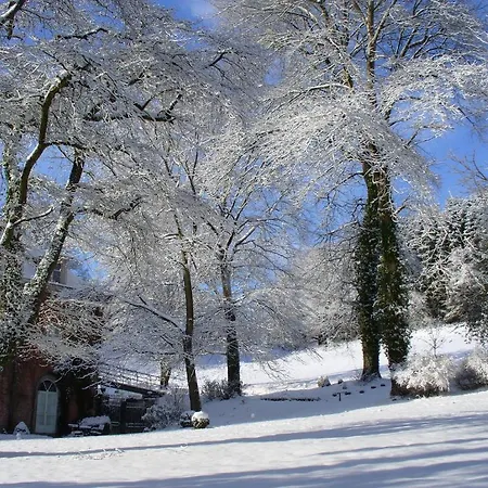 シャトー デ ホッドボモント ティユー