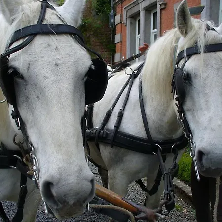 ホテル シャトー デ ホッドボモント *