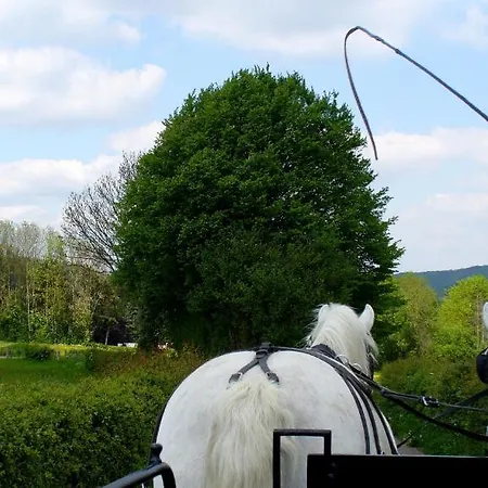 シャトー デ ホッドボモント ホテル *