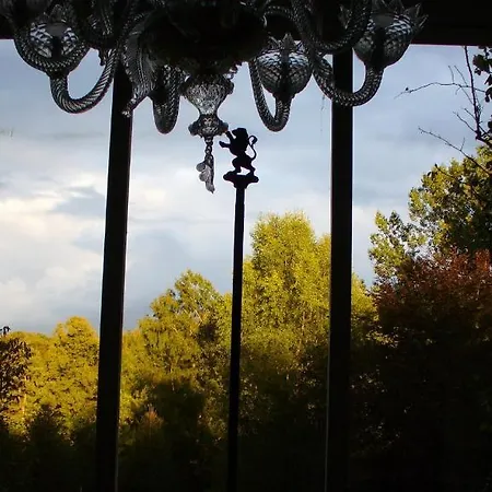 シャトー デ ホッドボモント * ティユー